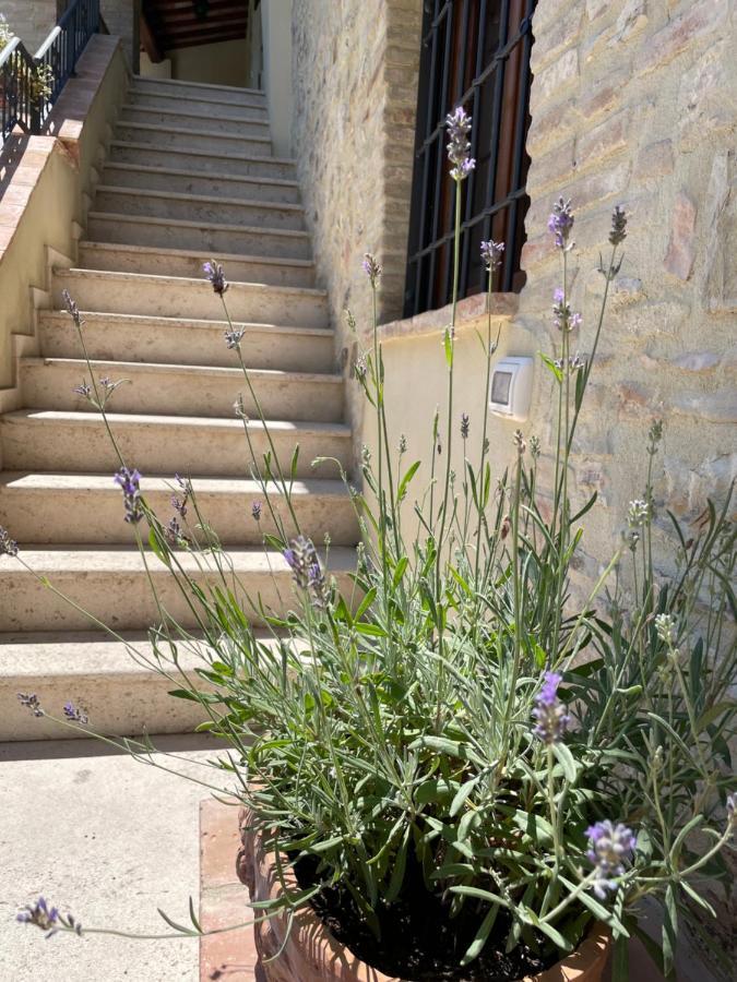 Le Gatte Apartment Sant'Urbano Exterior photo